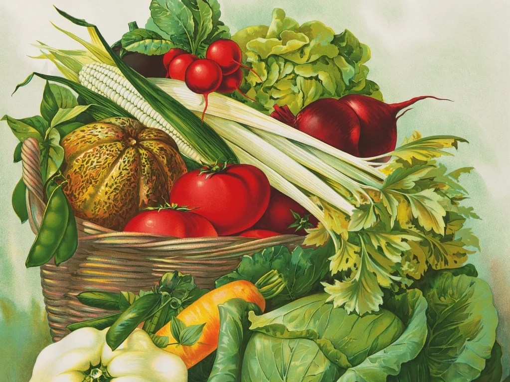 Allotments, Gardens & Green Space Advisory Service